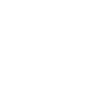 numeral-logo-white
